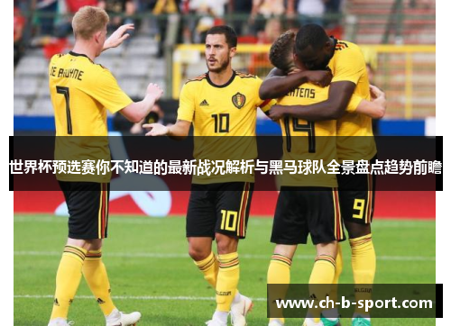 世界杯预选赛你不知道的最新战况解析与黑马球队全景盘点趋势前瞻 世界杯预选赛你不知道的最新战况解析与黑马球队全景盘点趋势前瞻
