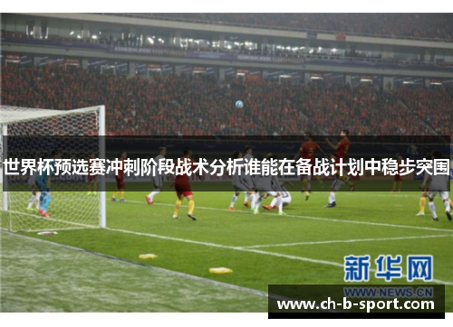 世界杯预选赛冲刺阶段战术分析谁能在备战计划中稳步突围